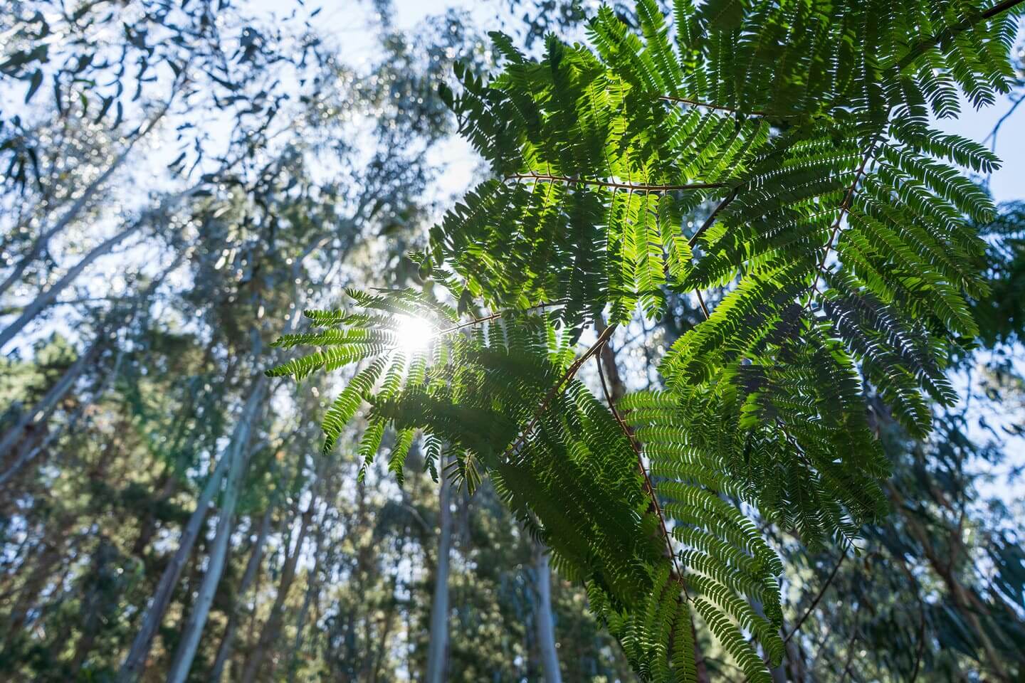 Vivir en armonía con la naturaleza en Campo Las Lomas